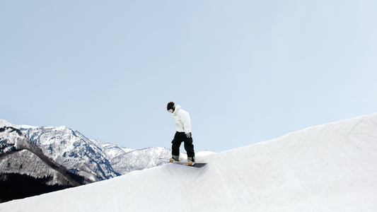 scarponi nitro sentinel