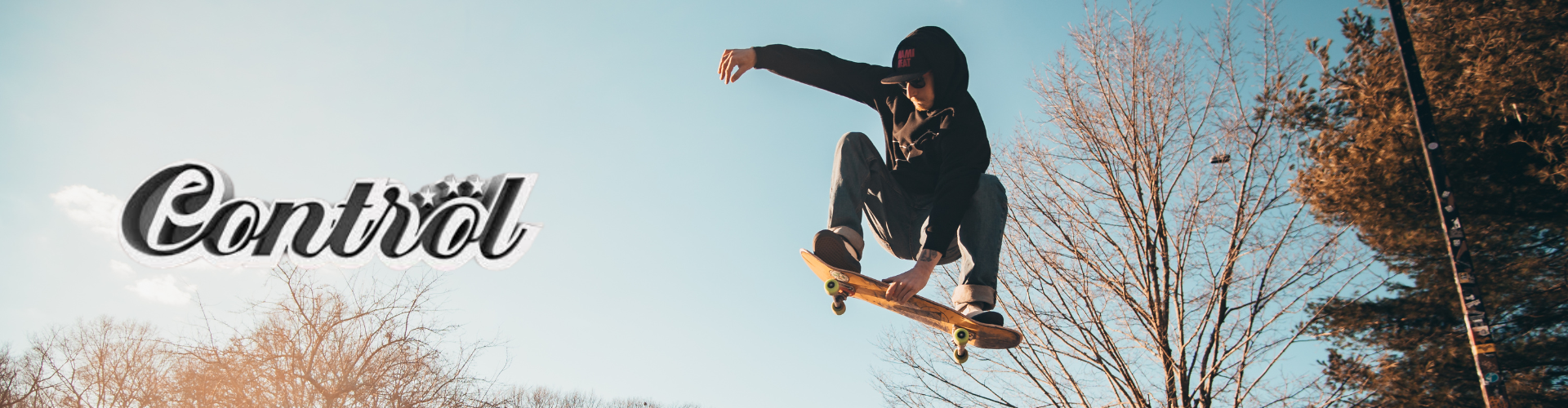 Control Skateboards